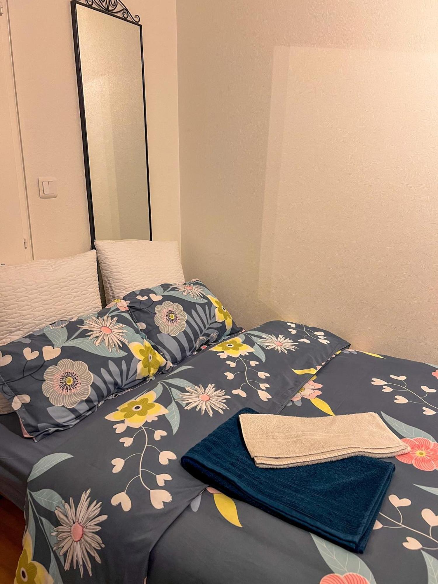 Appartement Havre De Paix 2-3 Pieces à Strasbourg Extérieur photo